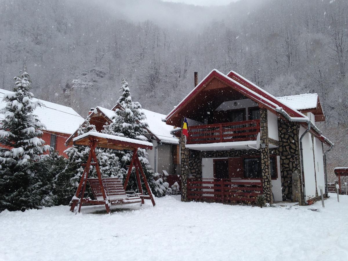 Cabana Florea Villa Rîu de Mori Exterior foto